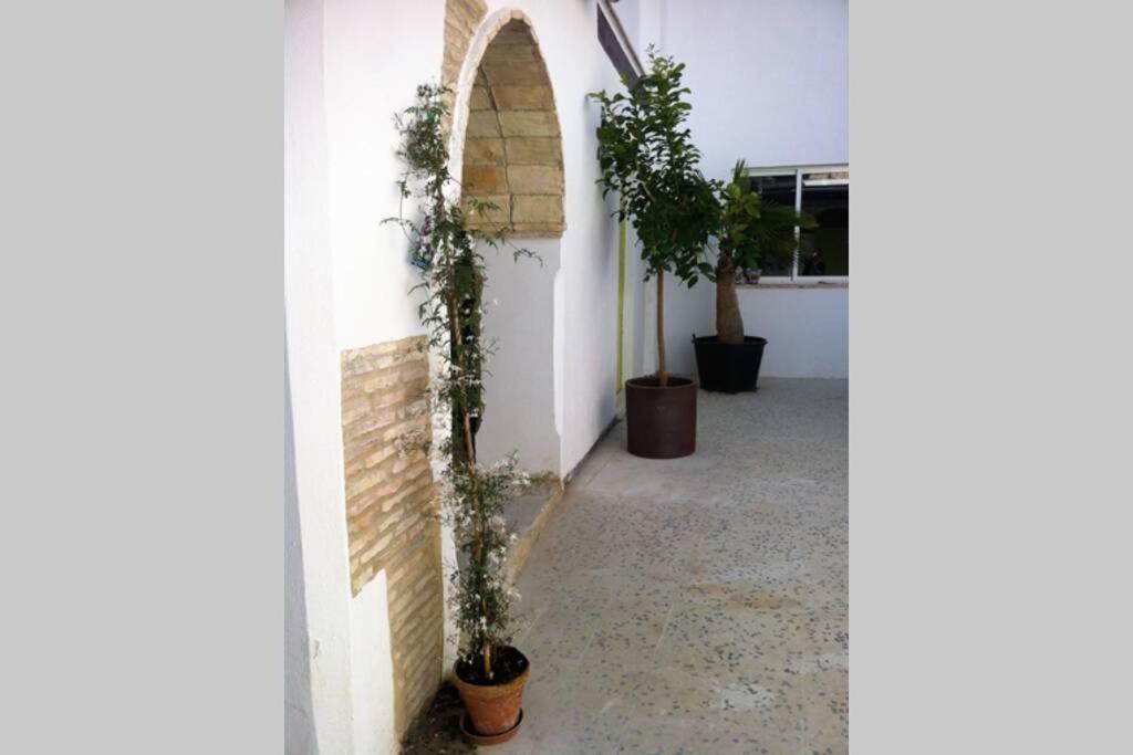 Casa Florinda #7 Lägenhet Jerez de la Frontera Exteriör bild